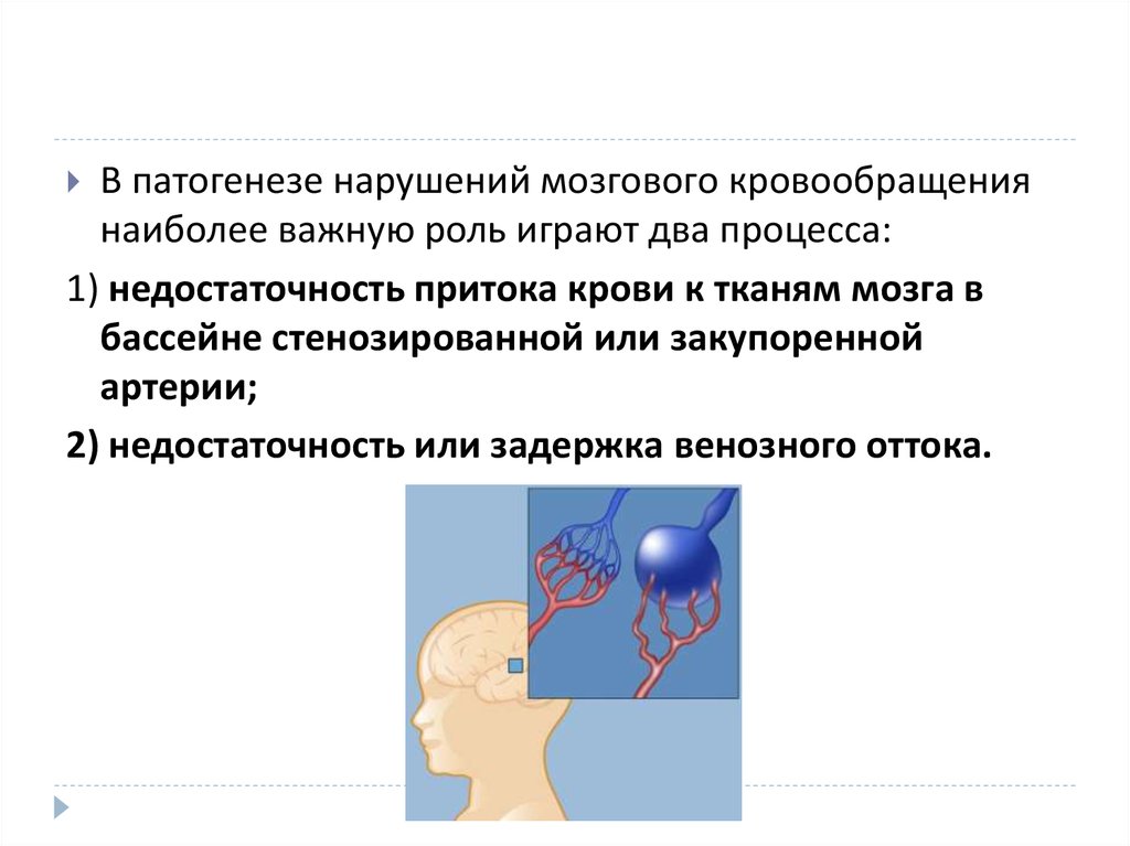 Нарушение венозного оттока ребенок. Умеренная венозная дисциркуляция. Цереброспинальная венозная система. Нарушение венозного оттока. Во всех бассейнах затруднение венозного оттока что это.