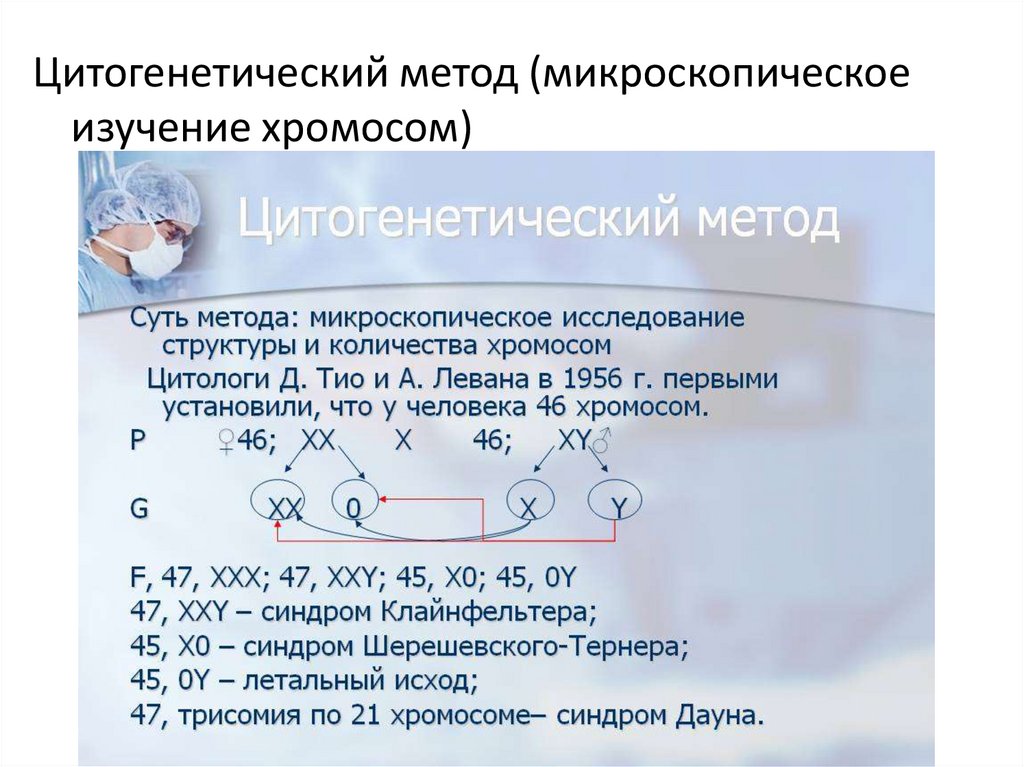 Цитогенетический метод устанавливает. Цитогенетический метод изучения наследственности. Методы исследования хромосом. Цитогенетические методы это в генетике. Цитогенетический мето.