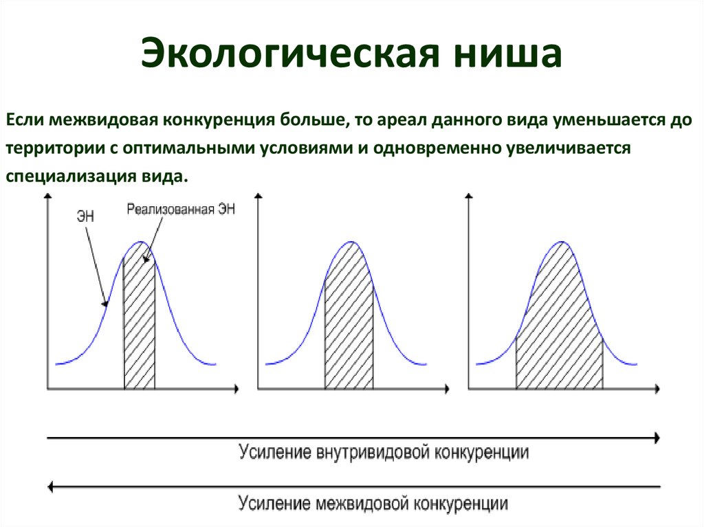 Виды экологических ниш