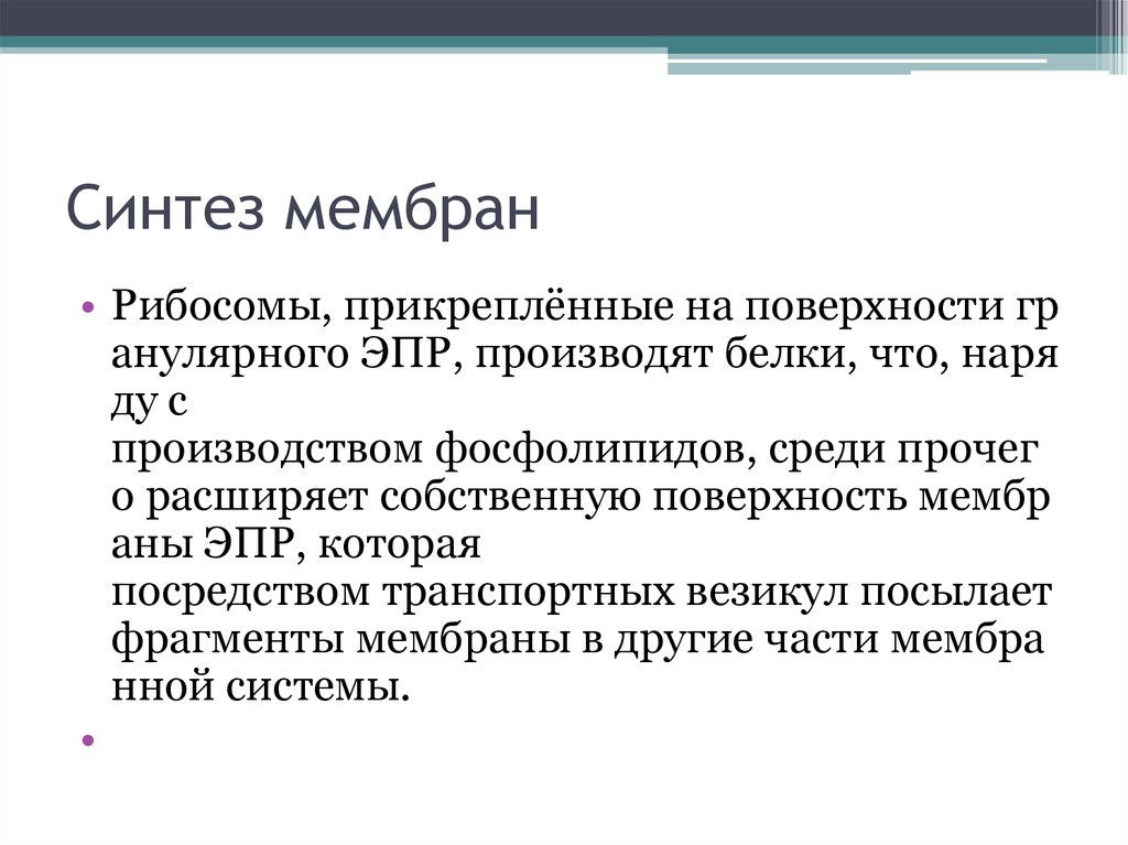 Мембрана синтез. Синтез мембран. Мембранный Синтез. Где синтезируются мембраны.