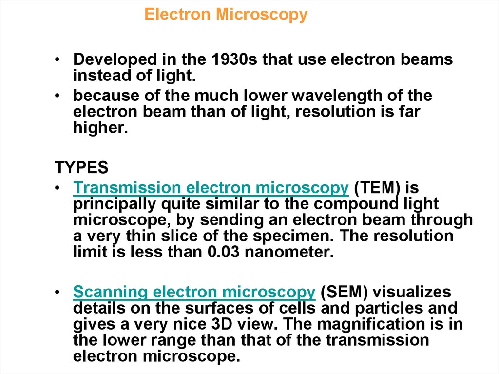 Electron Microscopy - definition and types