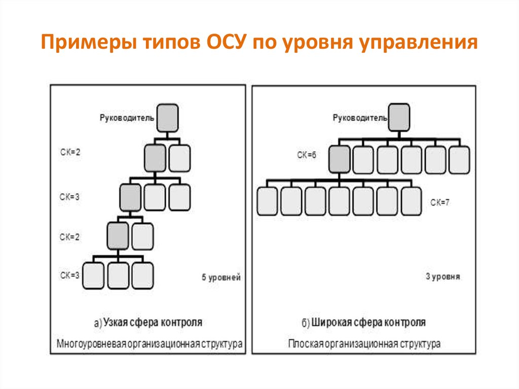 Примеры разновидностей