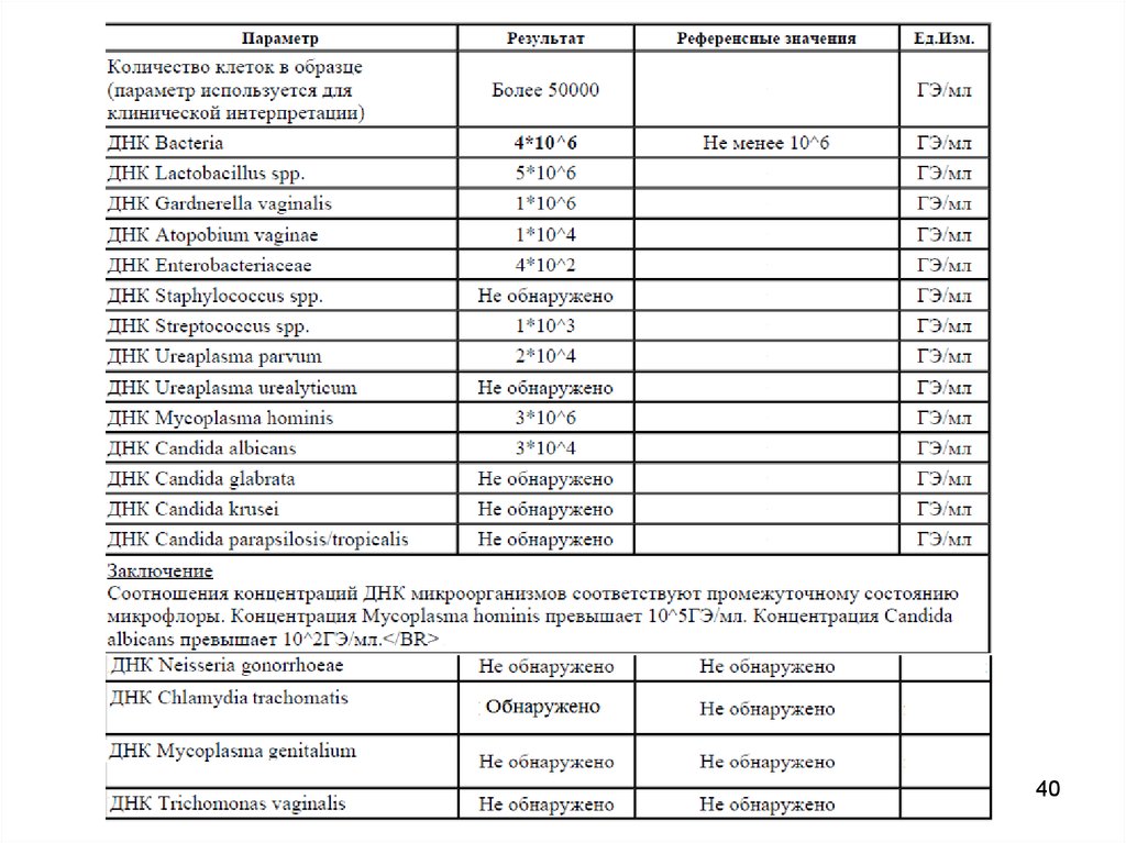 Флороценоз Кандиды