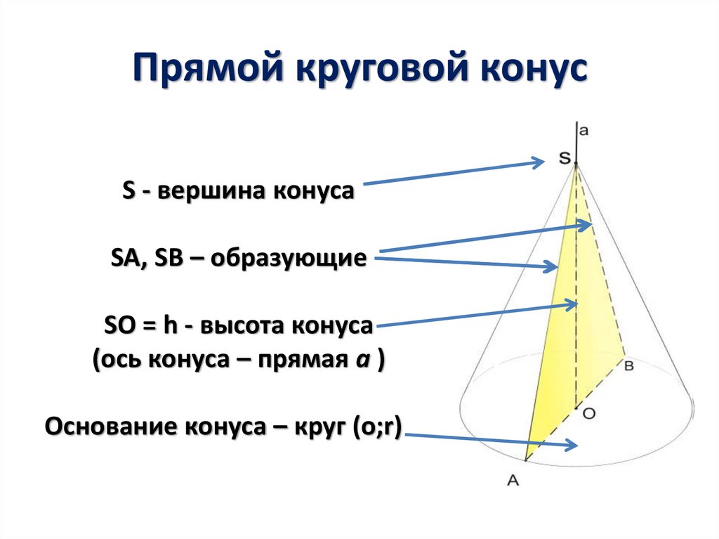 Круговой конус