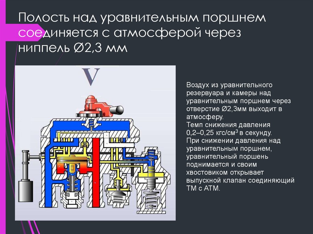 Принцип уравнительного распределения б централизованное планирование