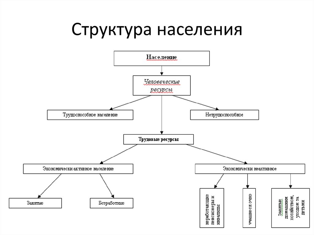 Структура населения это. Состав структура населения схема. Структура населения мира схема. Состав и структура населения география. Трудовая структура населения.