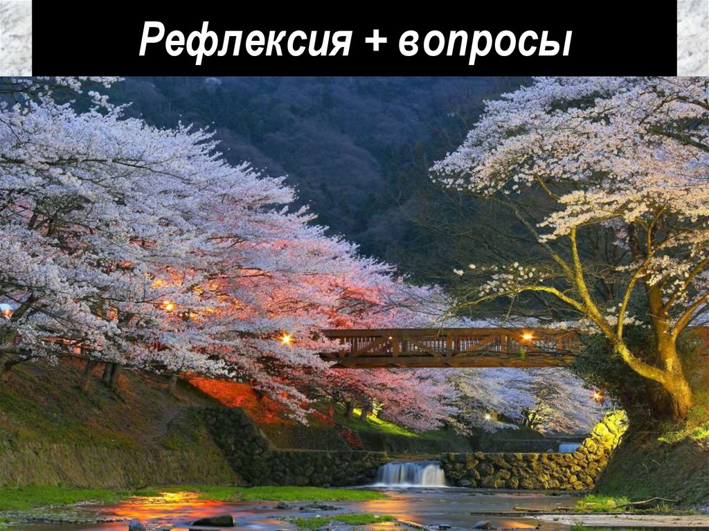 Рефлексия + вопросы