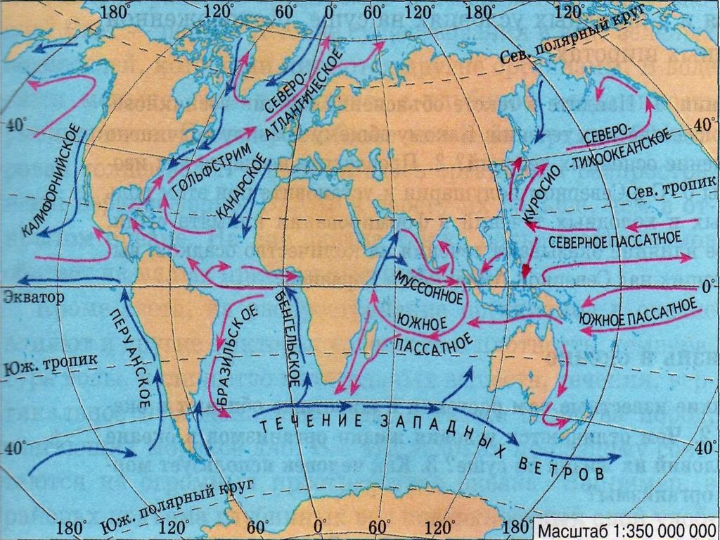 Карта течения морей