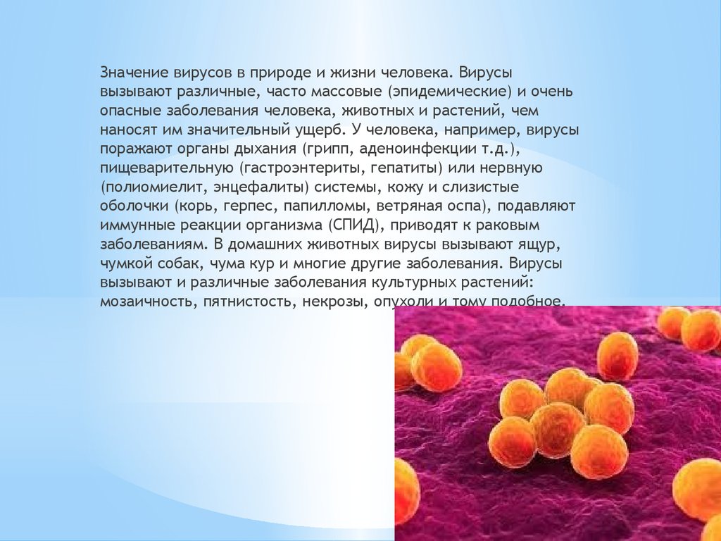 Заболевание человека вызванное бактериями и вирусами. Вирусы заболевания человека. Вирусы вызывающие болезни. Болезни человека вызываемые вирусами. Вирусные заболевания человека и животных.
