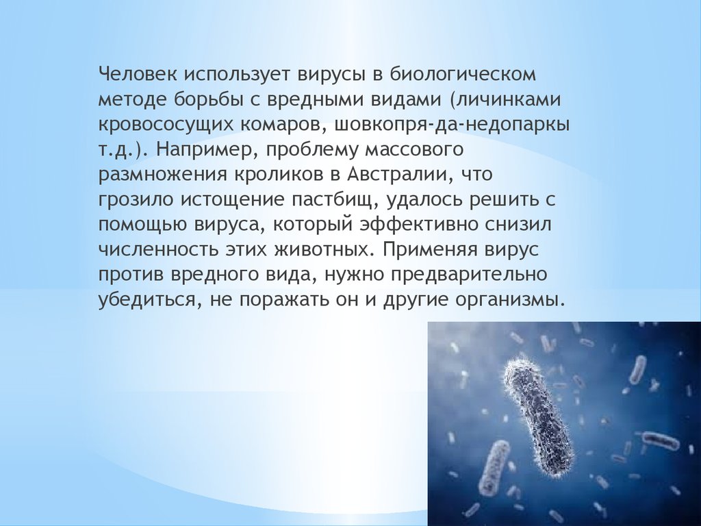 Роль вирусов в природе. Применение вирусов. Использование вирусов человеком. Методы борьба с биологическими вирусами. Практическое применение вирусов.