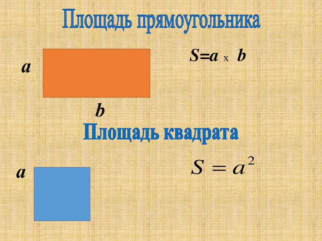 Площади фигур геометрия 8 класс презентация