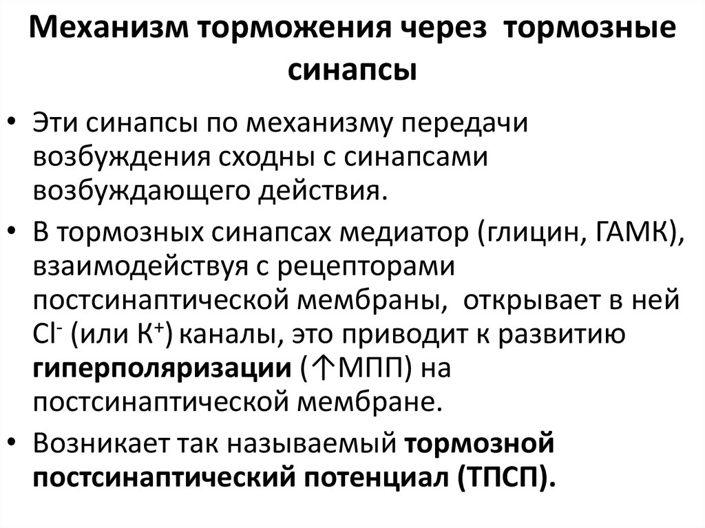 Тормозные синапсы