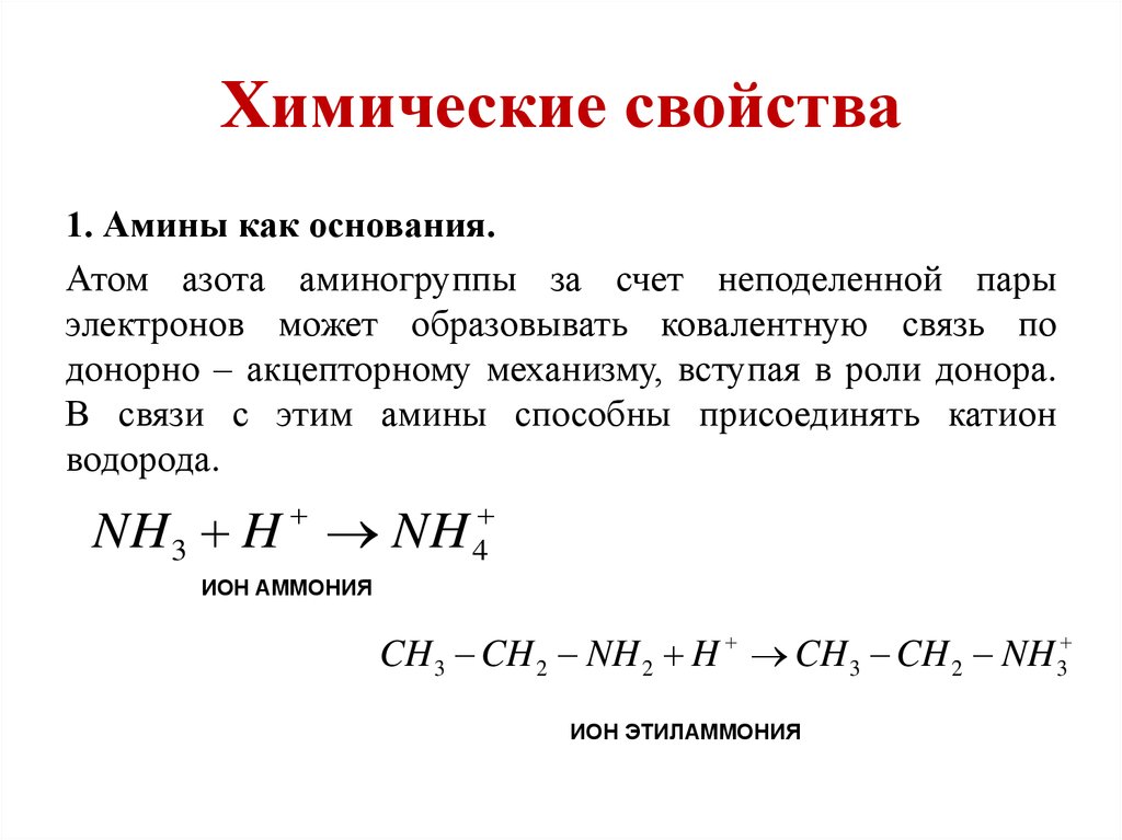 Физические и химические свойства аминов