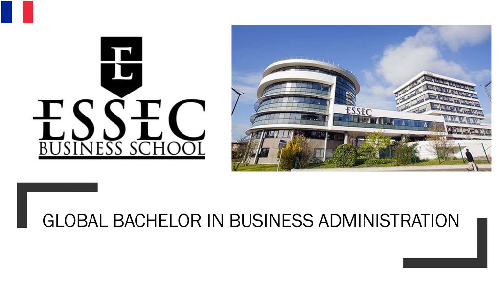 Global Bachelor in Business Administration