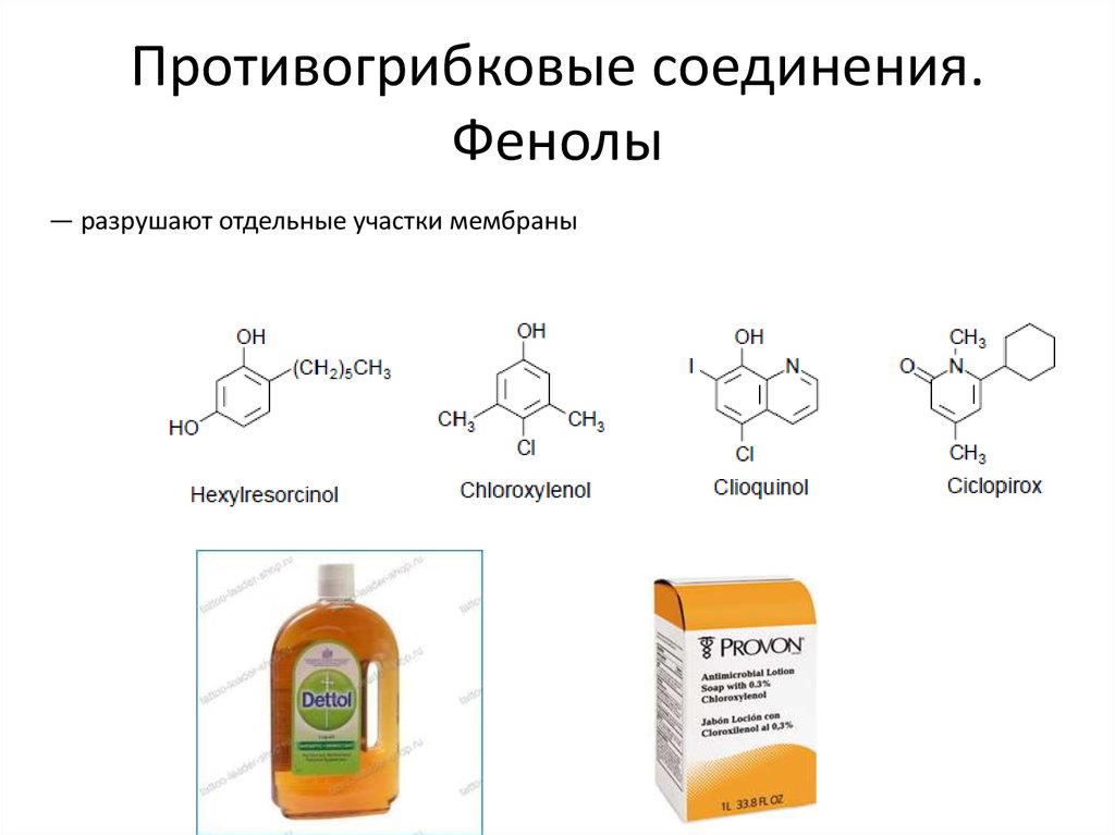 Фенольные соединения фото