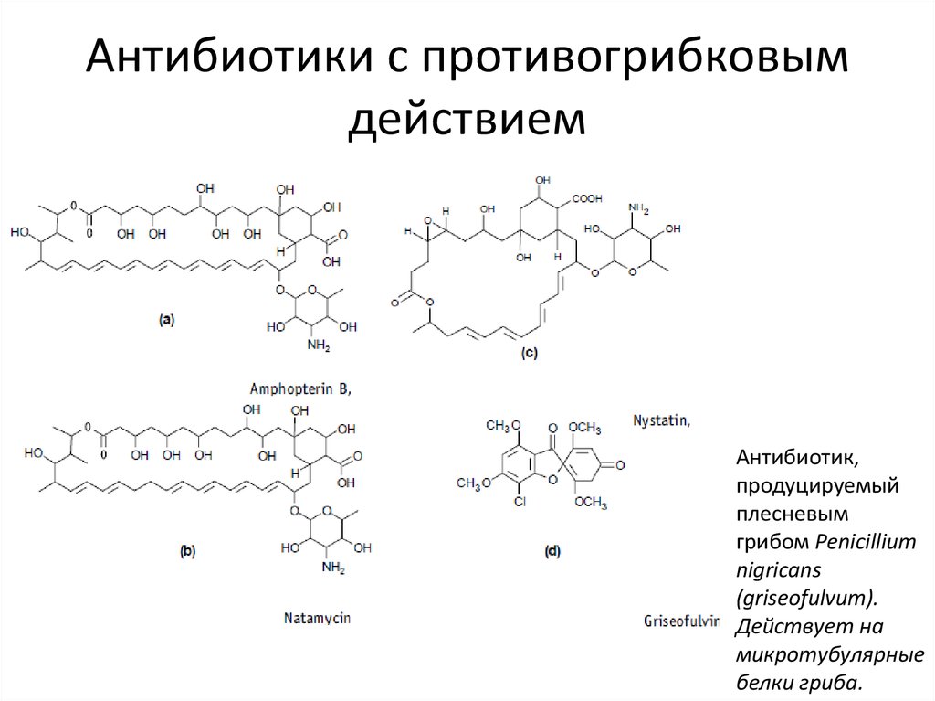 Схема действия антибиотиков