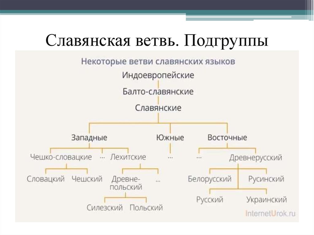 Русский язык относится к ветви славянских языков