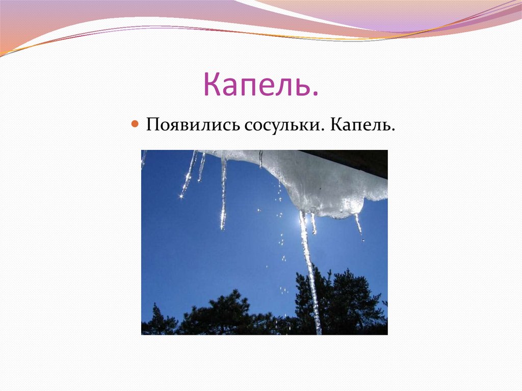 Как появляется капелька. Картинки капель сосульки в старшей группе. Слайды о весне, капель,сосульки, и т.д.. Когда появляется капель. Почему появляются сосульки 2 класс коротко.