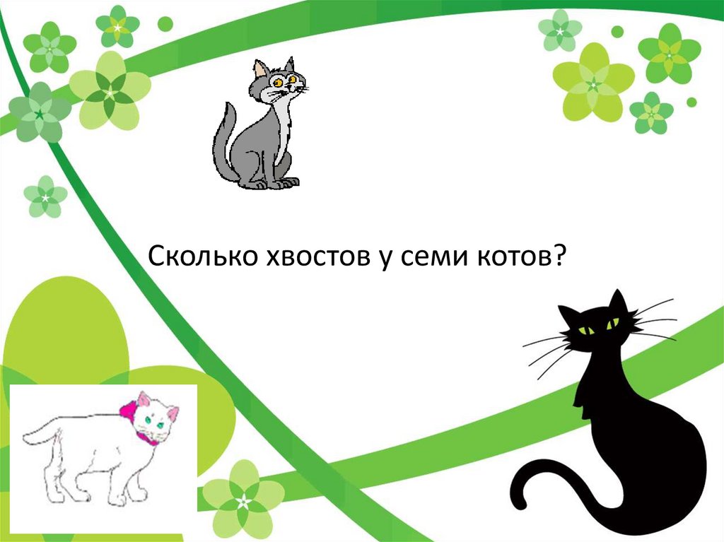 Сколько котов на картинке