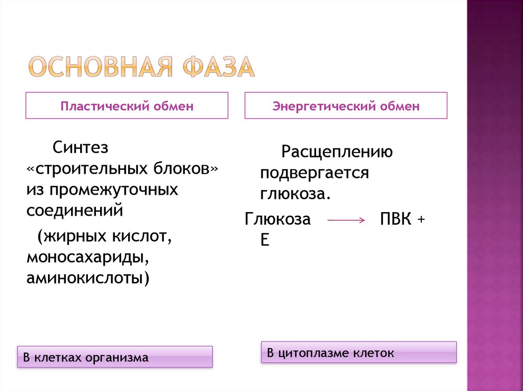 В процессе энергетического обмена происходит