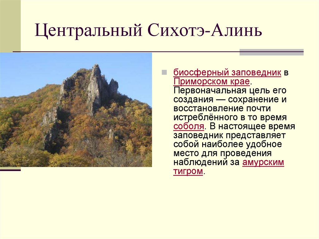 Точка сихотэ алинь. Сихотэ-Алинский заповедник ЮНЕСКО. Гора Сихотэ Алинь гора. Центральный Сихотэ-Алинь ЮНЕСКО кратко. Рельеф Сихотэ Алинского заповедника.