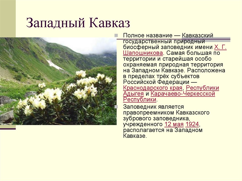 Кавказ расположен в природных зонах. Объект Всемирного природного наследия Западный Кавказ. Западный Кавказ характеристика.