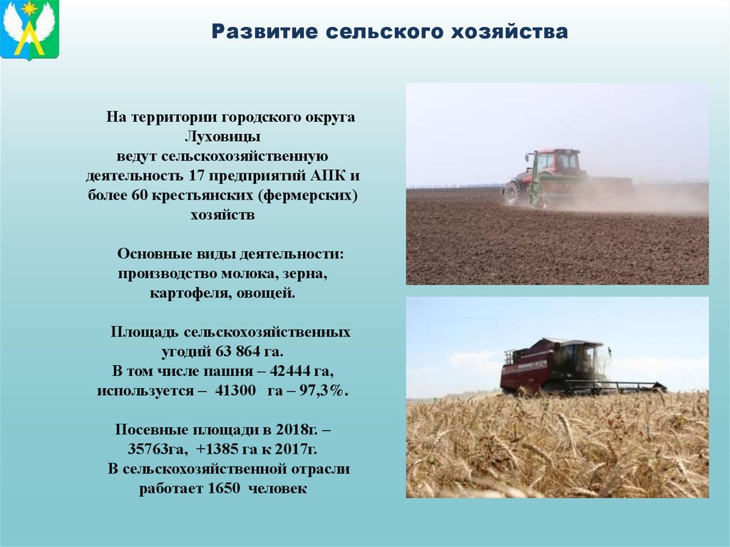 На территории городского округа Луховицы ведут сельскохозяйственную деятельность 17 предприятий АПК и более 60 крестьянских