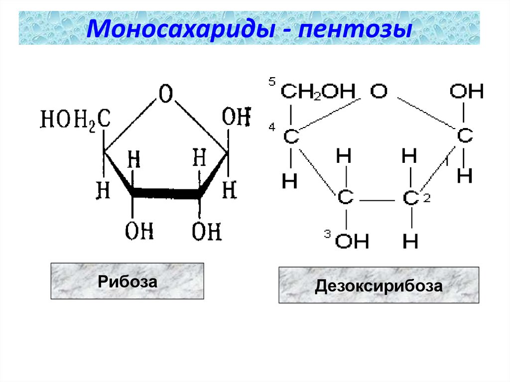 Глюкоза класс соединений. Глюкоза фруктоза рибоза дезоксирибоза. Дезоксирибоза цикл. Моносахариды основные представители рибоза\. Строение пентозы.
