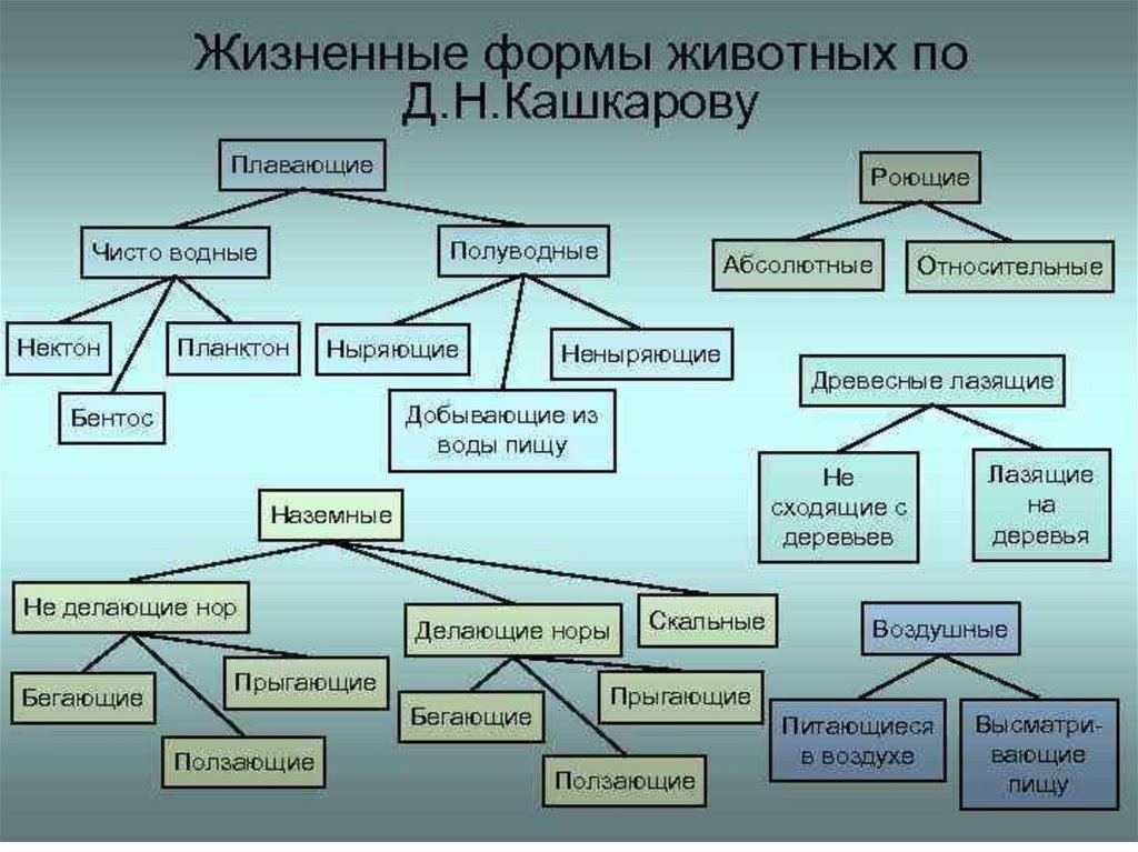 По составу и структуре проекта можно выделить