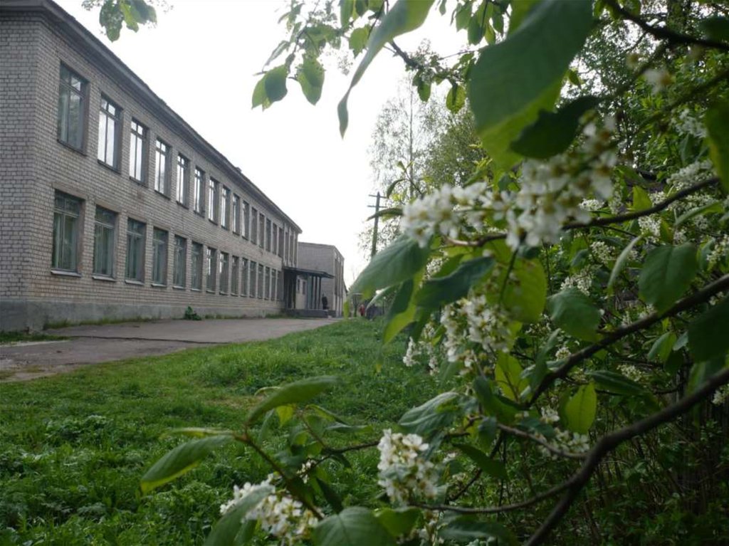 Кировские областные школы