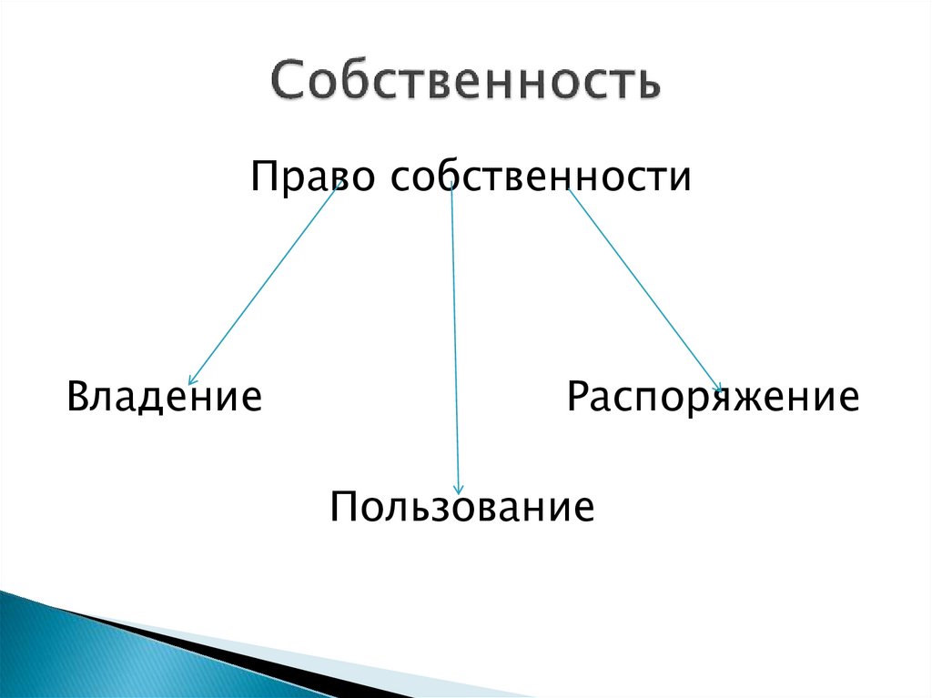 Тема собственность 8 класс