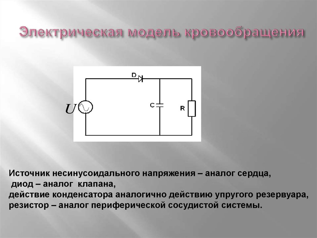 Соответствует модели. Электрическая модель кровообращения. Электрическая модель системы кровообращения. Электрическая модель гемодинамики. Модели кровообращения электрическая модель.