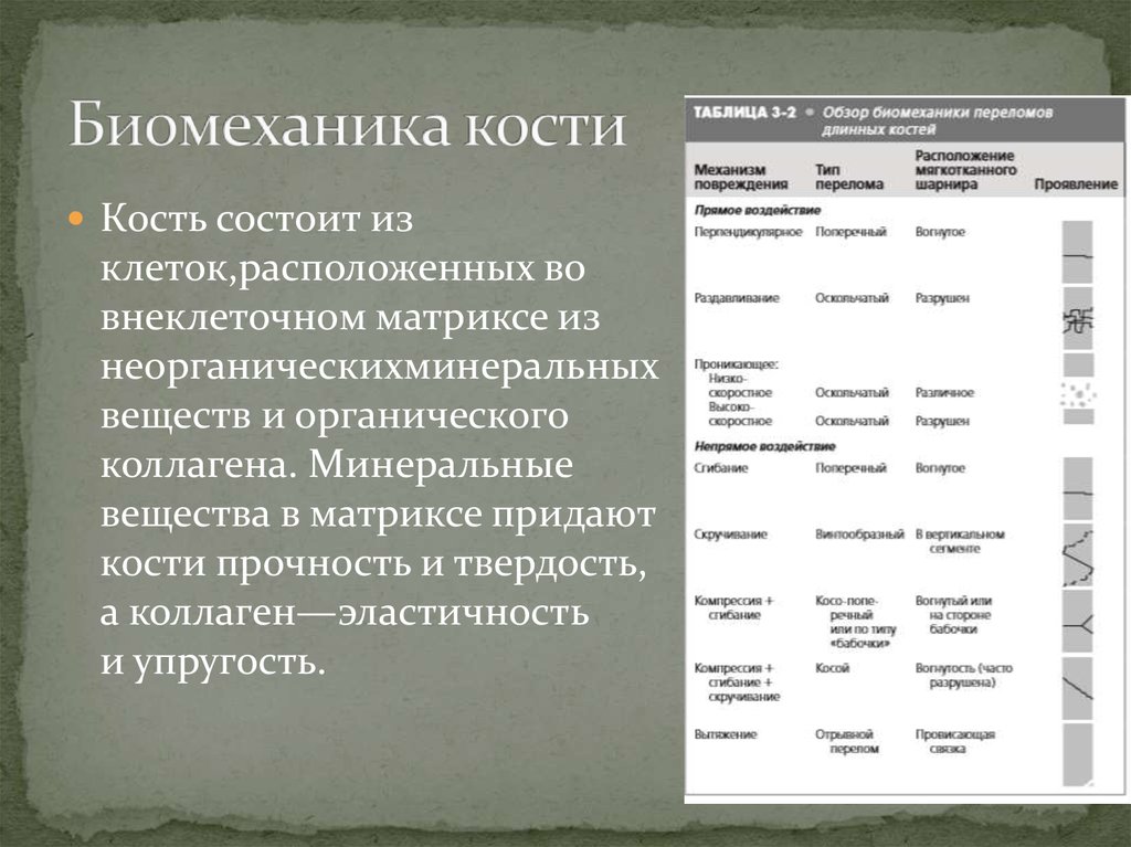 Твердость кости придают. Придают кости прочность твердость и упругость. Какие вещества придают кости твердость прочность. Биомеханизм переломов. Органический Матрикс кости состоит.