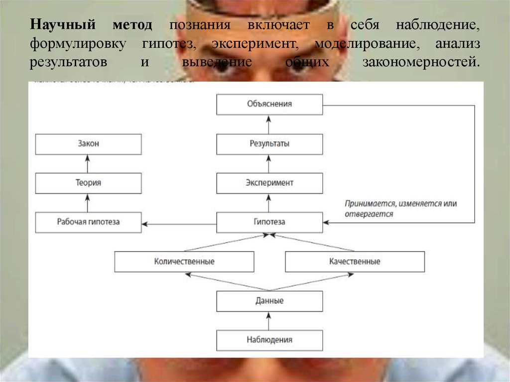 Научный метод гипотеза теория закон. Наблюдение гипотеза эксперимент опыт. Схема научного опыта. Алгоритм научного исследования наблюдение гипотеза.