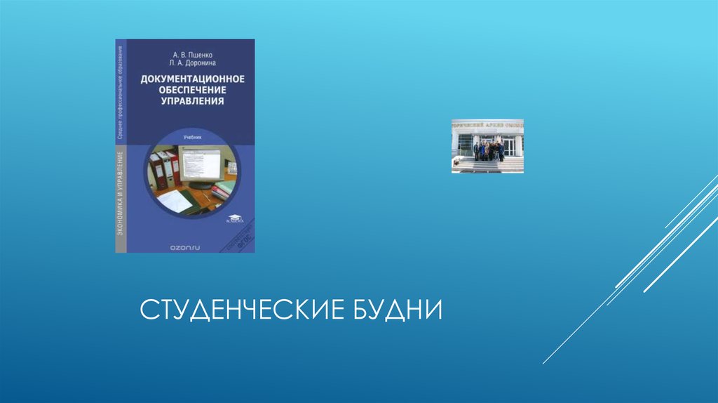 Документационное обеспечение управления и архивоведение учебный план