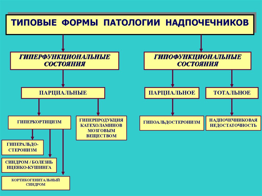 Болезни надпочечников. Гиперфункция надпочечников патогенез. Типовые формы нарушений функций гипофиза. Классификация нарушений функций надпочечников.. Типовые формы патологии гипофиза.