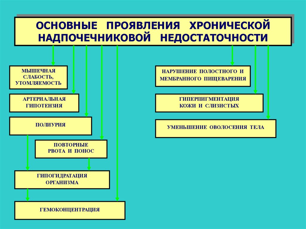 Основные проявления. Механизмы проявления хронической надпочечниковой недостаточностью. Клиника первичной хронической надпочечниковой недостаточности. Патогенез проявлений хронической надпочечниковой недостаточности. Симптомы вторичной хронической надпочечниковой недостаточности.