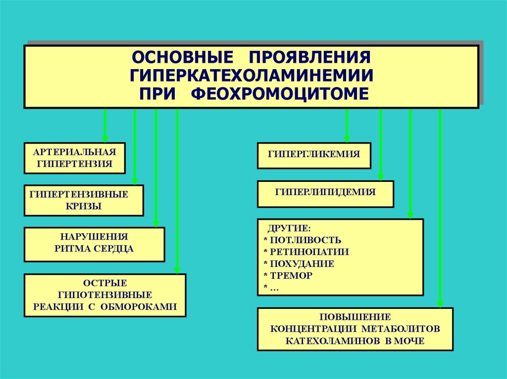 Основные проявления. Гиперкатехоламинемия проявления. Феохромоцитома артериальная гипертензия. Артериальная гипертензия при феохромоцитоме. Патогенез артериальной гипертензии при феохромоцитоме.