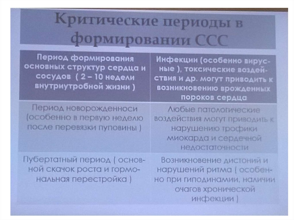 Анатомо физиологические особенности ссс презентация