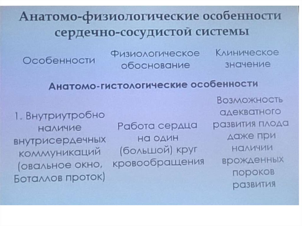 Анатомо физиологические особенности ссс презентация