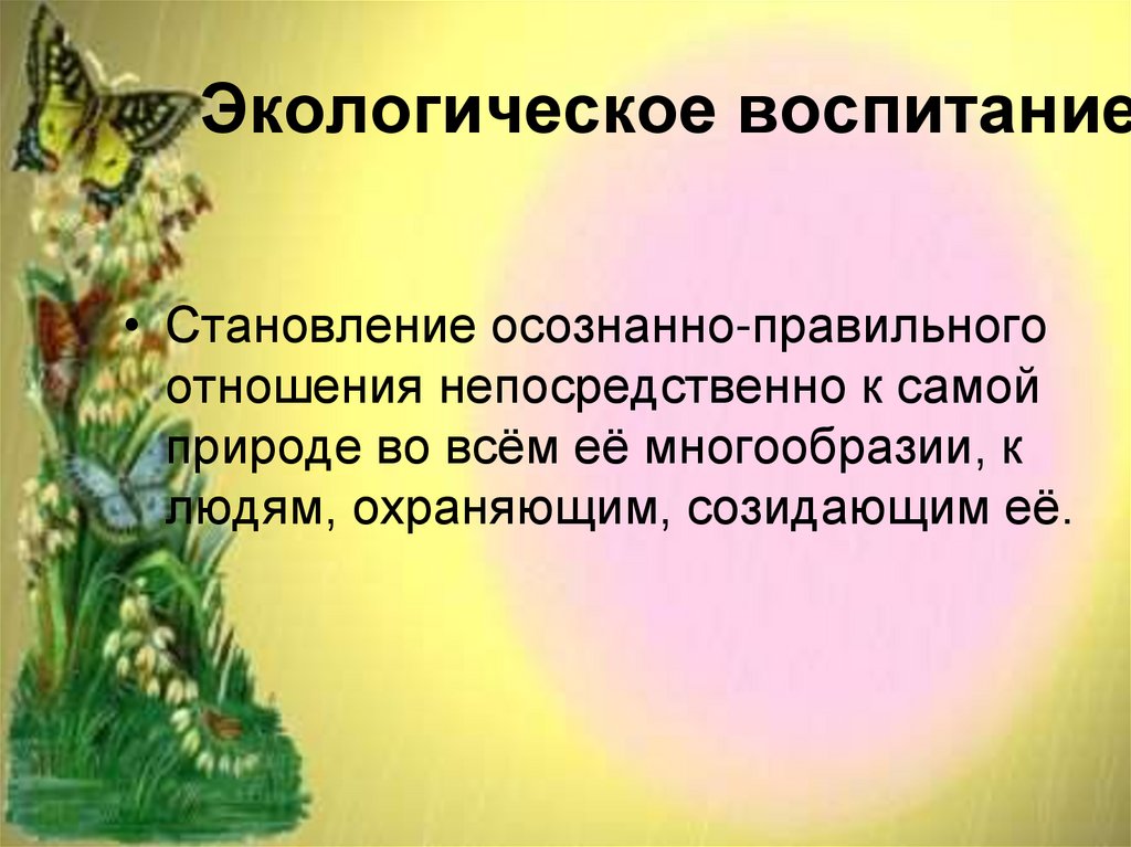 Экологическое воспитание в обществе презентация