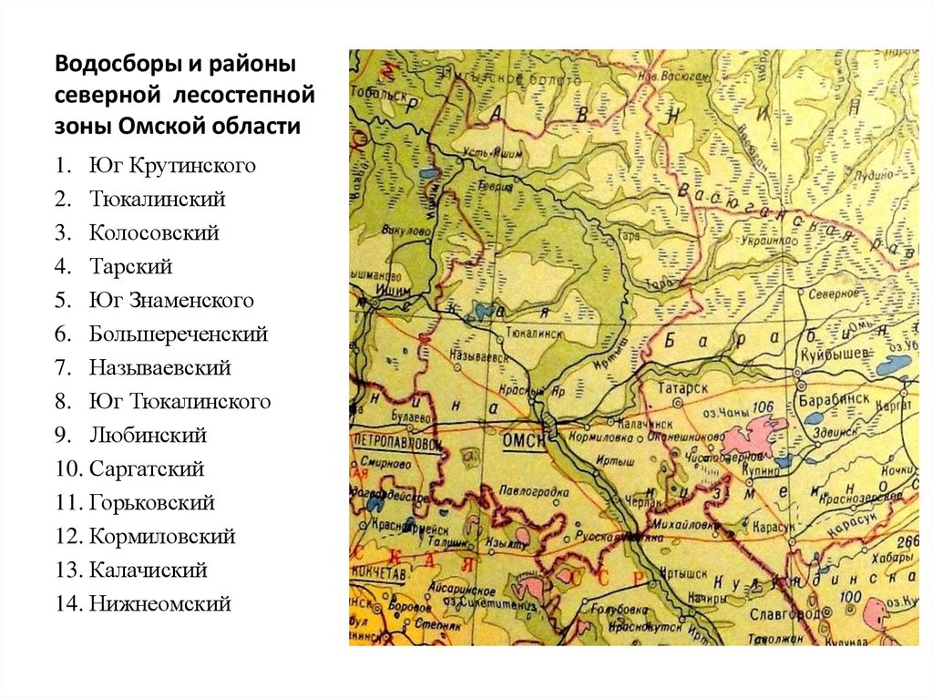 В какой природной зоне омская область