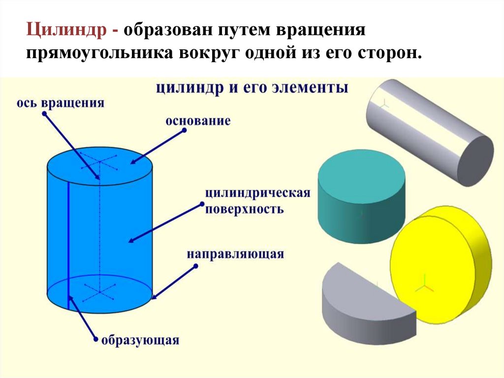 Составляющие цилиндра. Элементы цилиндра. Виды цилиндров. Цилиндр элементы тела. Названия элементов цилиндра.