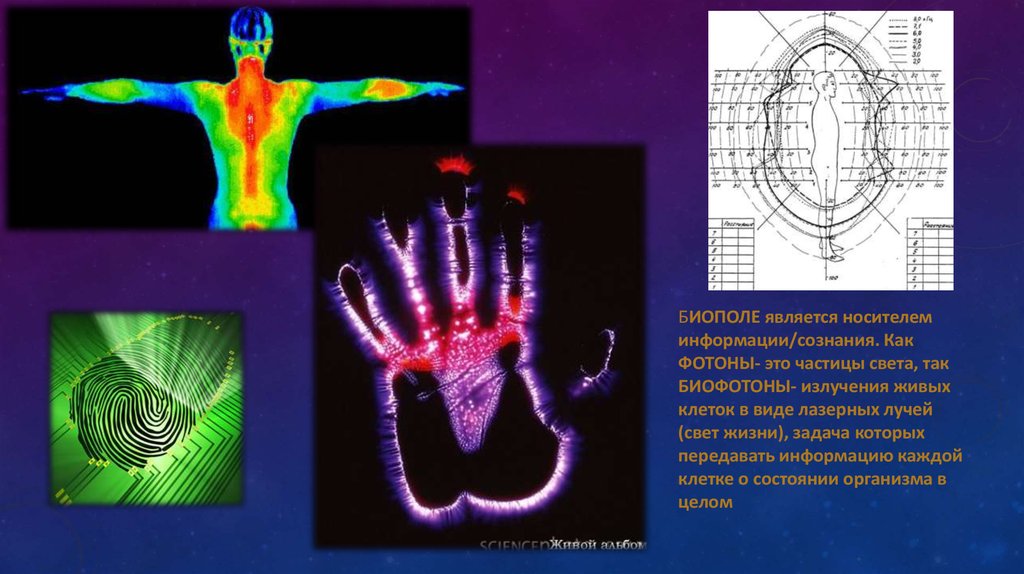 Света клетки. Биофотоны. Принцип действия биофотон. Фотоны являются переносчиками:. Фотоны как влияет на человека.