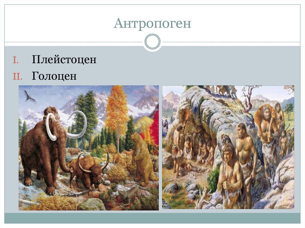 Антропоген. Антропоген Голоцен. Антропоген плейстоцен. Плейстоцен и Голоцен. Антропоген плейстоцен и Голоцен.