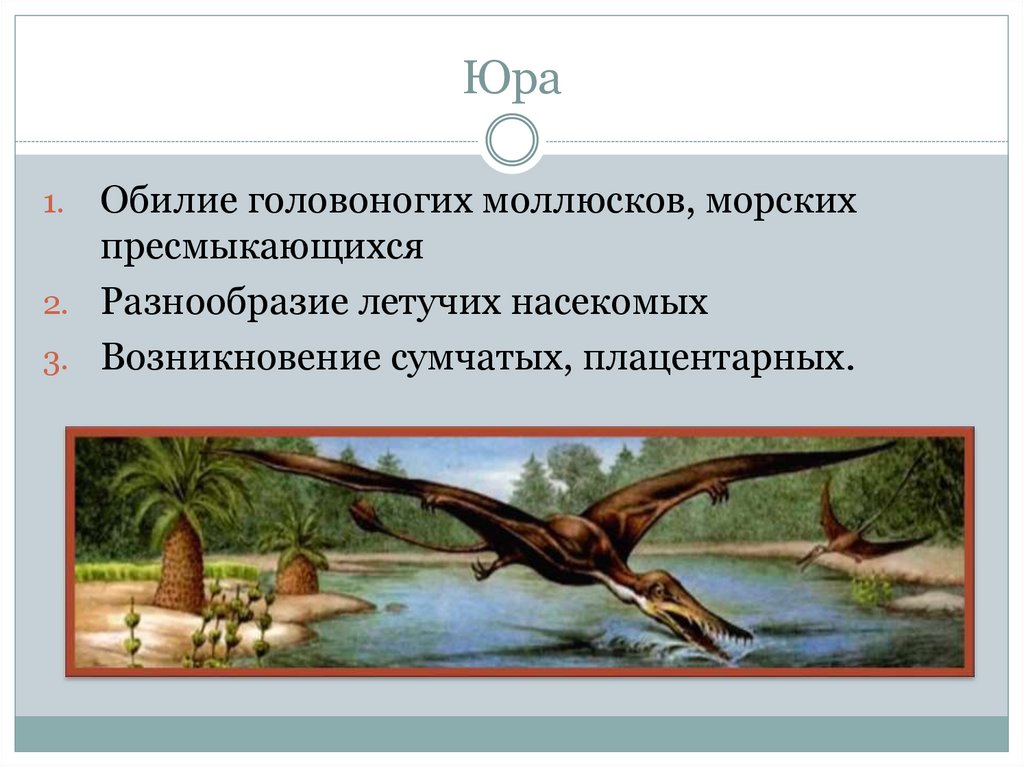 Расцвет рептилий в мезозое и возможные причины исчезновения динозавров презентация