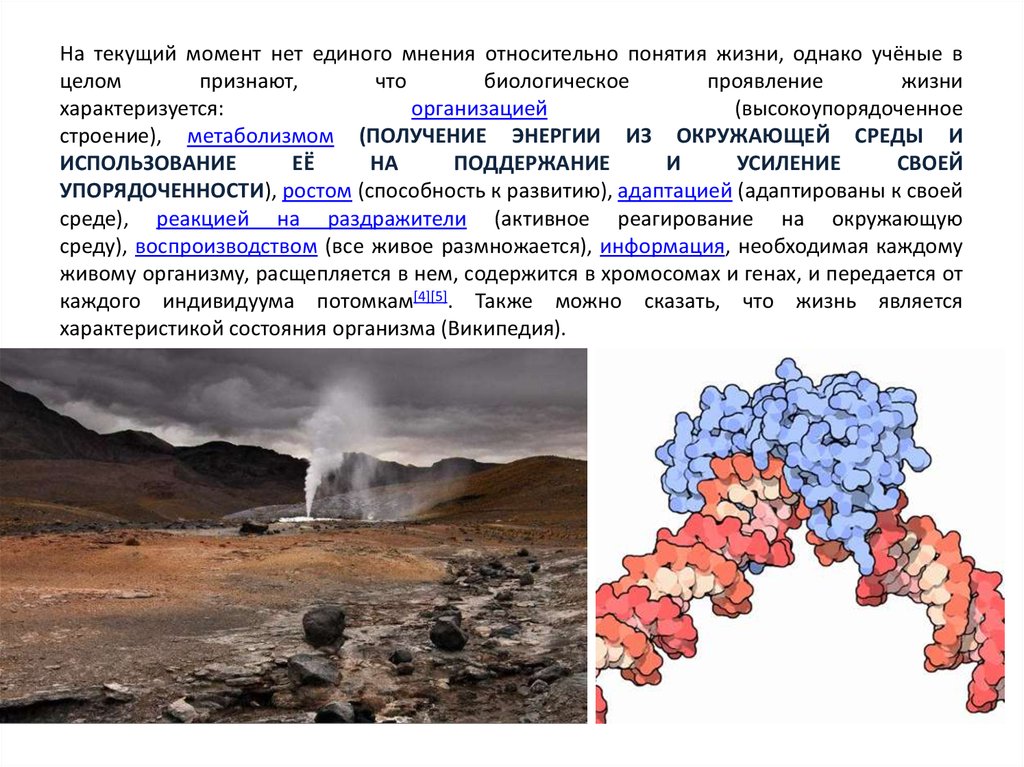 Понятия жизнь и живое