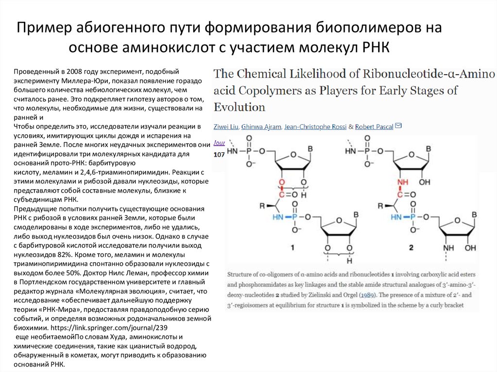 Виды биополимеров рнк