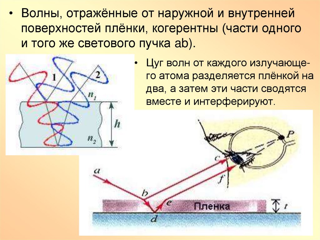 Две световые волны когерентны если. Цуг волны. Волновой Цуг. Цуг физика. Цуг волны физика.