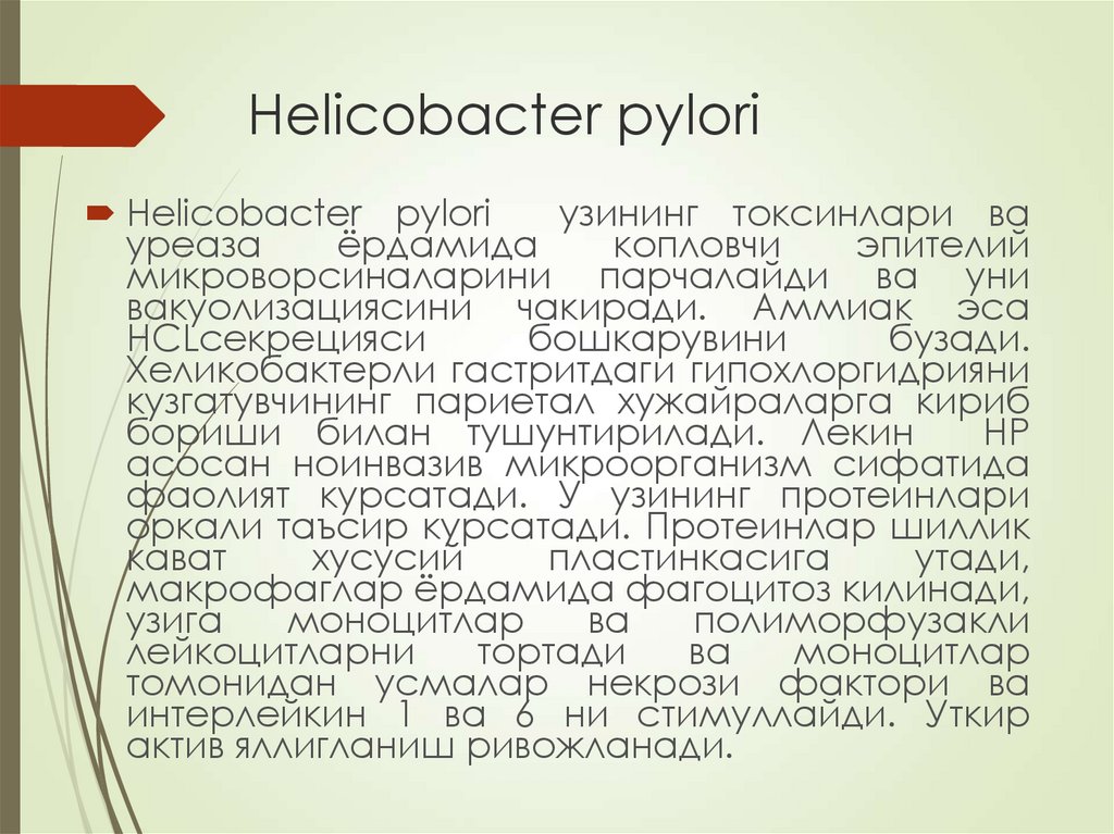 Helicobacter pylori